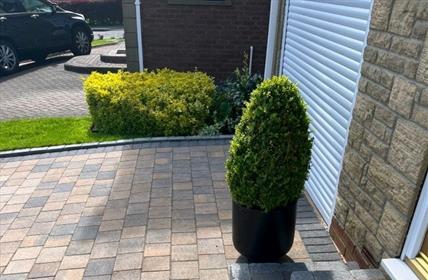 Outdoor & Landscaping